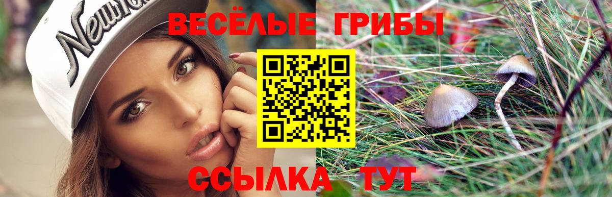 Галлюциногенные грибы ЛСД  Вход с VPN  Воткинск 